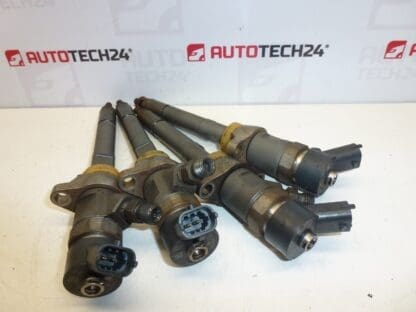 Injection set Bosch 1.6 HDI 55 and 66 kw 0445110239 only 98 thousand km