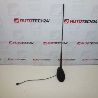Antenna with washer Citroën C5 9650910980 6561Y0