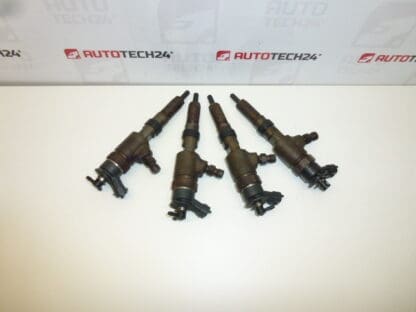 Injection kit Bosch 1.4 HDI 0445110252 1980K2