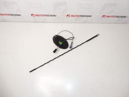 Antenna Citroën C2 C3 9653389980 6567W7