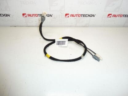 Antenna wire harness Citroën C4 II B7 and DS4 9675654480 6587C8