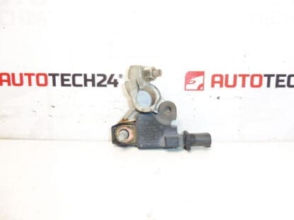 Citroën Peugeot 9666919780 Negative Pole unit