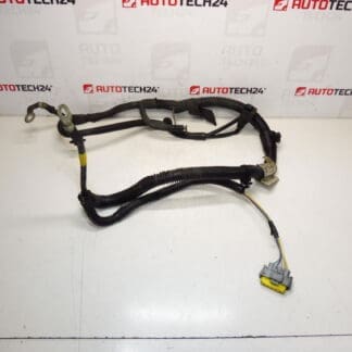 Harness positive Citroën Peugeot 2.0HDI 9688405380 5642SX